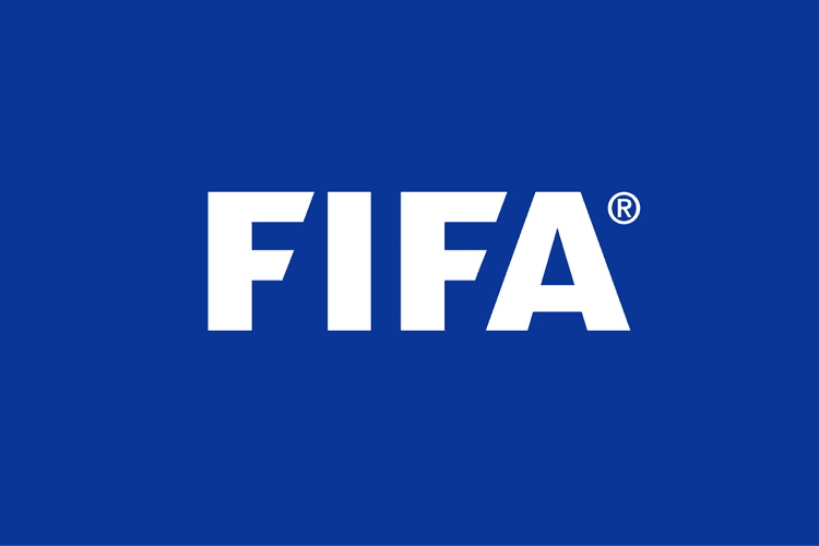 دوره آشنایی مقدماتی با فدراسیون جهانی فوتبال (FIFA)